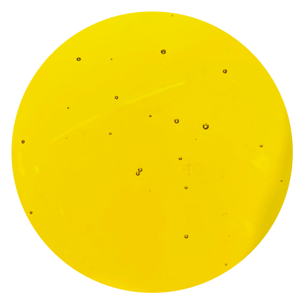 Zestaw: Olej rzepakowy dla koni BIOFEED Horse & Pony Canola Oil 2 x 1 l