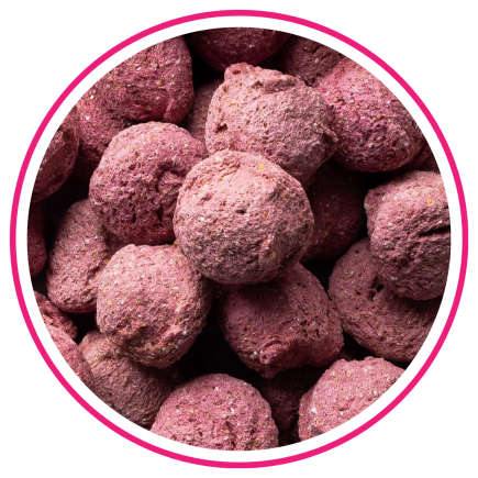BIOFEED Horse & Pony Candy Cookies Raspberry & Strawberry with beetroot 300 g
