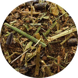 Próbka BIOFEED Horse & Pony Active Grain Free Musli 400 g (stabilopack)