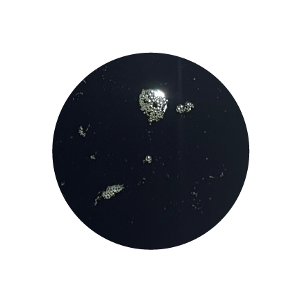 ZESTAW: BIOFEED Horse & Pony Hemp Oil 2 x 1 l