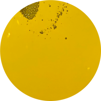 Olej lniany dla koni BIOFEED Horse & Pony Linseed Oil 4,5 l