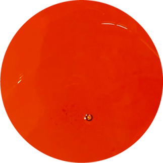 BIOFEED Horse & Pony Corn Oil 1 l