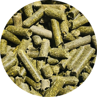 Lucerna dla koni BIOFEED Horse & Pony Alfalfa Granulated 25 kg