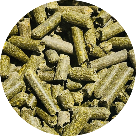 Lucerna dla koni BIOFEED Horse & Pony Alfalfa Granulated 25 kg