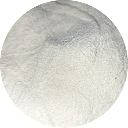 BIOFEED Horse & Pony Foal Milk 10 kg