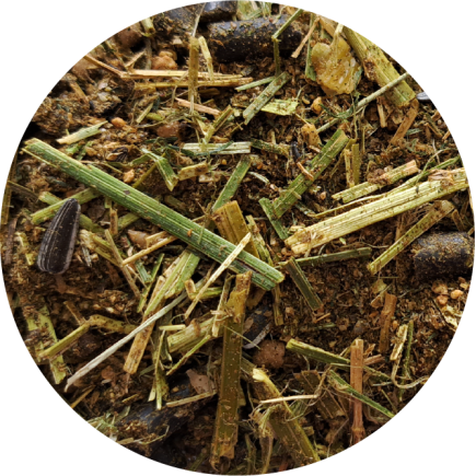 BIOFEED Horse & Pony Active Musli Grain Free 20kg