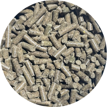 BIOFEED Horse & Pony Muscles 1000 g (słoik PET)