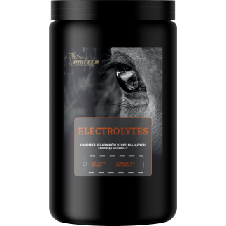 Elektrolity dla koni BIOFEED Horse & Pony Electrolytes 900 g (słoik PET)
