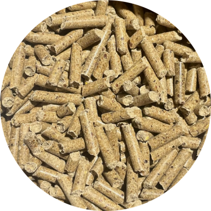 BIOFEED Horse & Pony Diarrhea Stop 900 g (słoik PET)