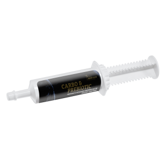 BIOFEED Horse & Pony Carbo & Prebiotic 100 ml