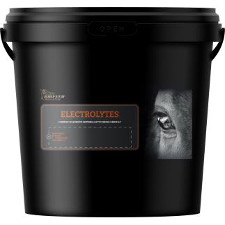 Elektrolity dla koni BIOFEED Horse & Pony Electrolytes 6 kg