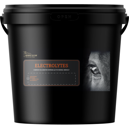 Elektrolity dla koni BIOFEED Horse & Pony Electrolytes 6 kg