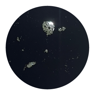 Olej konopny dla koni BIOFEED Horse & Pony Hemp Oil 1 l