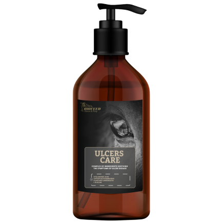 Suplement dla koni wrzodowych BIOFEED Horse & Pony Ulcers Care 1 l