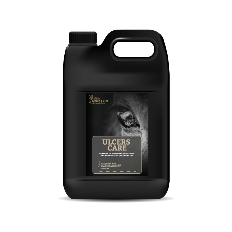 Suplement dla koni wrzodowych BIOFEED Horse & Pony Ulcers Care 4,5 l