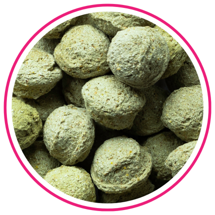 BIOFEED Horse & Pony Candy Cookies Apples with spirulina 300 g