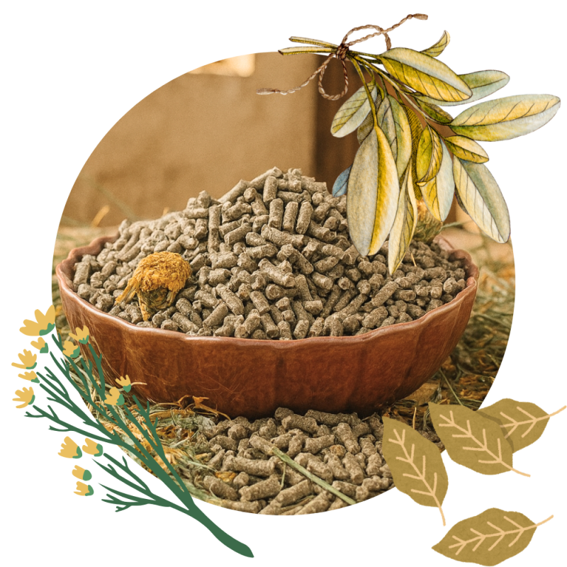 Daily Comfort SPORT PELLETS 25 kg Daily Comfort SPORT PELLETS 25 kg