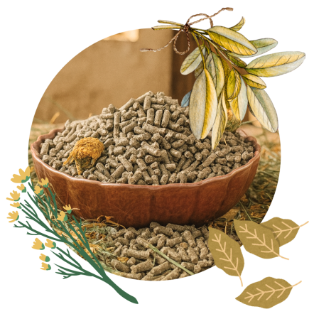 Daily Comfort SPORT PELLETS 25 kg