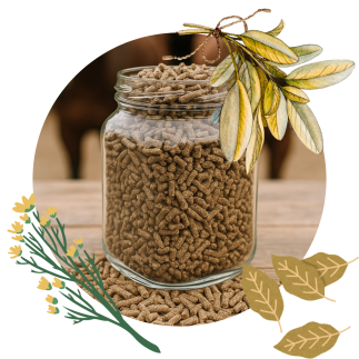 Mares & Stallions Pellets 25 kg