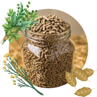 Perfect Growth Pellets 25