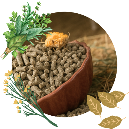 Daily Comfort Breed PELLETS 25 kg