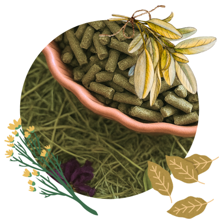 Active Gastro Pellets 25 kg