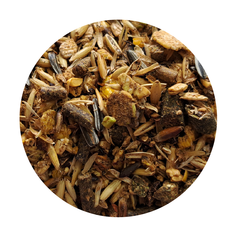 ZESTAW: BIOFEED Horse & Pony Breed Musli 2x 20 kg ZESTAW: BIOFEED Horse & Pony Breed Musli 2x 20 kg