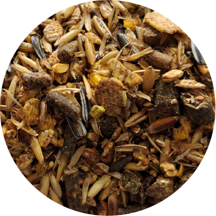 ZESTAW: BIOFEED Horse & Pony Breed Musli 2x 20 kg